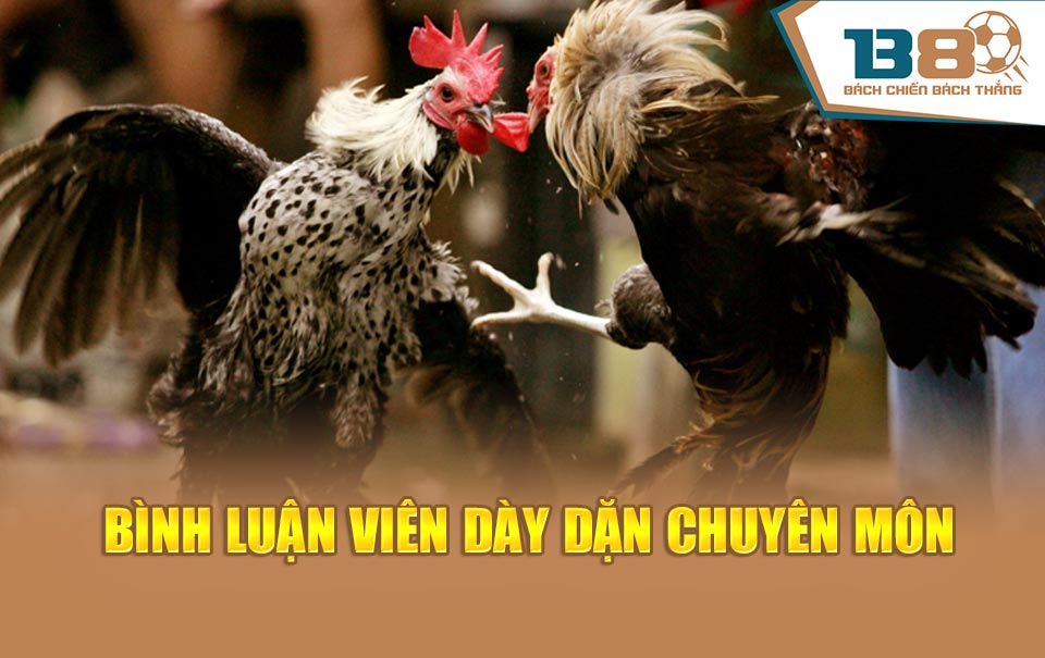 Bình luận viên dày dặn chuyên môn