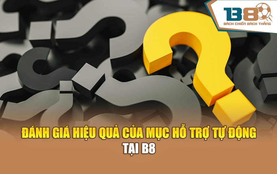 Đánh giá hiệu quả của mục hỗ trợ tự động tại B8