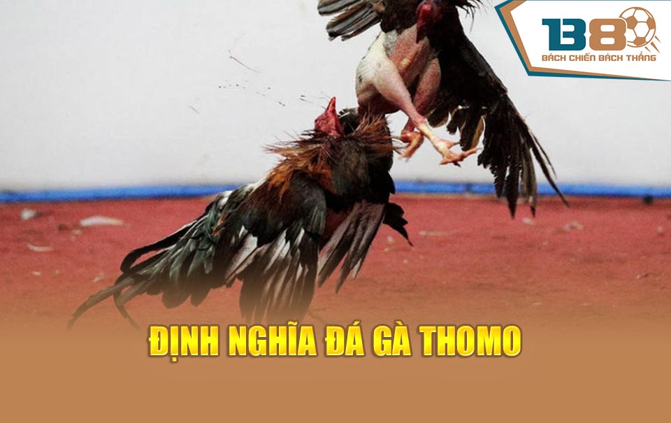 Định nghĩa đá gà Thomo